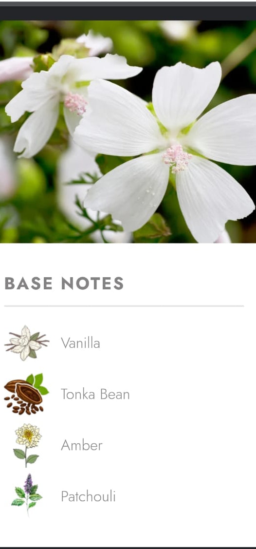 MAJESTIC BY COEUR PERFUME 100ML