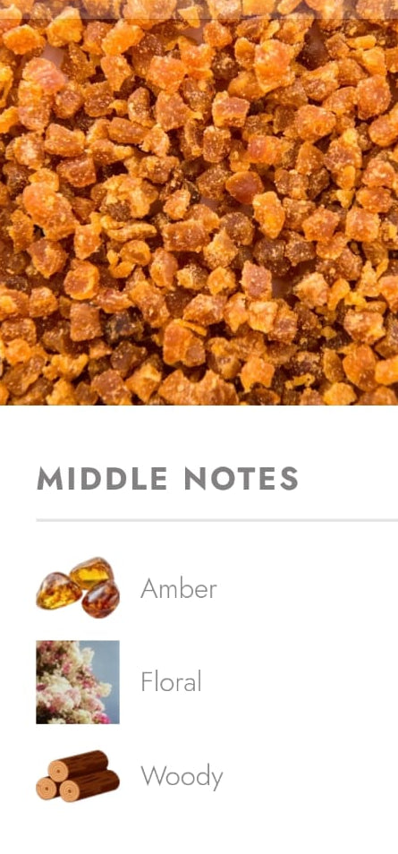 Amber Mystique By Aroma Signature